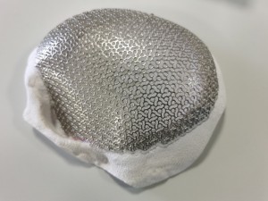 titanium mesh