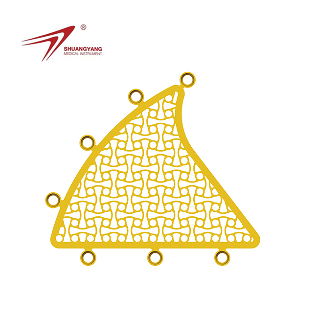 mastoid interlink plate